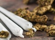 BNNP Sumbar Gagalkan Peredaran 100 Paket Ganja di Jalur Bukittinggi–Medan