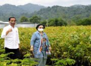 Jawab Isu Kerenggangan Hubungan Jokowi-Megawati, Mensesneg: Keduanya Baik-baik Saja