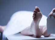 Kemenkes Catat 108 Petugas Pemilu Meninggal hingga H+10 Pemungutan Suara