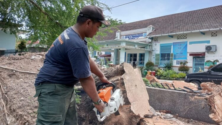 BPBD potong pohon tumbang di SD Fransiskus Padang.