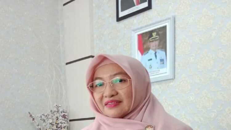 Kepala Dinas Kependudukan dan Catatan Sipil Pasaman Barat Yulisna saat memperlihatkan uji coba menerapkan identitas kependudukan digital.(Antara/Altas Maulana)