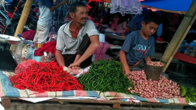 Harga Sejumlah Kebutuhan Pokok di Solok Selatan Alami Kenaikan 1 Ilustrasi pedagang kebutuhan pokok. (Antara/Erik)