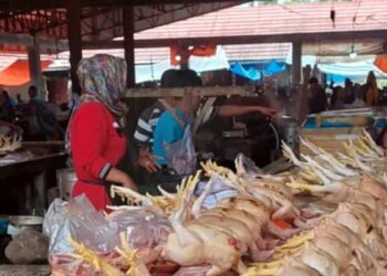 Di Solok Selatan, Harga Cabai Merah, Daging Ayam dan Tomat Naik