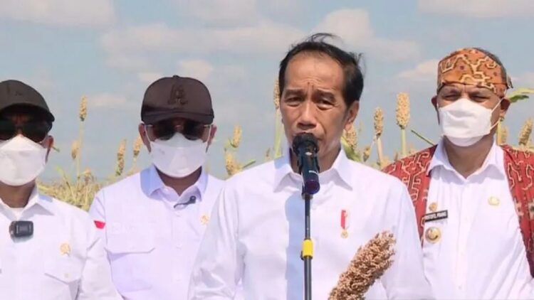 Genjot Produksi Gandum, Jokowi Minta Pemda Perluas Lahan Sorgun di NTT 1 Tangkapan layar Presiden Joko Widodo memegang hasil panen sorgum saat memberikan keterangan pers di Kabupaten Sumba Timur, NTT, seperti ditayangkan dalam kanal YouTube Sekretariat Presiden, Kamis (2/6/2022) (ANTARA/Mentari Dwi Gayati)