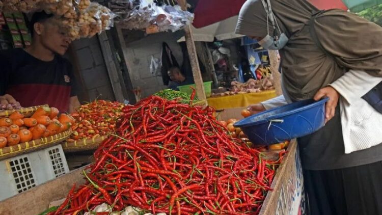 Ilustrasi pedagang cabai. (Foto: Dok. ANTARA)