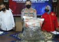 Jual 12,8 Kilogram Sisik Trenggiling, Seorang Konsultan di Padang Diciduk Polisi