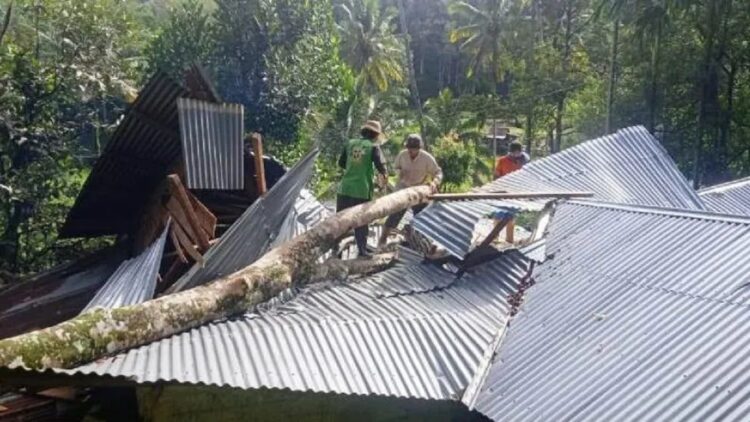 Personel BPBD Solok Selatan bersama warga membersihkan pohon tumbang yang menimpa rumah warga di Ampalu, Nagari Alam Pauh Duo, Kec. Pauh Duo, Solok Selatan, Minggu (26/6) (ANTARA/HO-BPBD Solok Selatan)