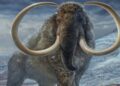 Mumi Bayi Mammoth Langka Ditemukan di Kanada