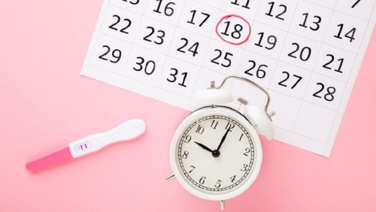 Ilustrasi cara menghitung masa subur untuk bantu rencanakan kehamilan. (iStockphoto/FotoDuets)