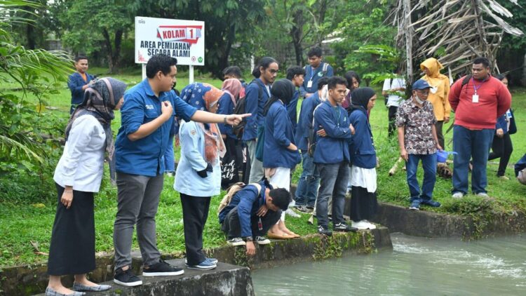 Kolam pemijahan bilih PT Semen Padang dikunjungi mahasiswa UBH.