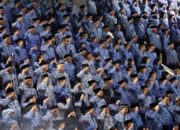 Pemerintah Pastikan CPNS Diangkat Paling Lambat Juni 2025 dan PPPK Oktober 2025