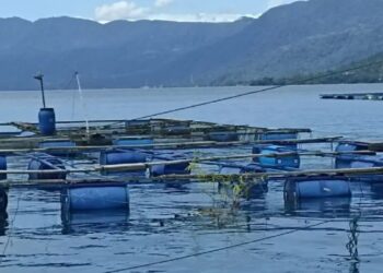 Rumpon di Danau Maninjau. (Antara)