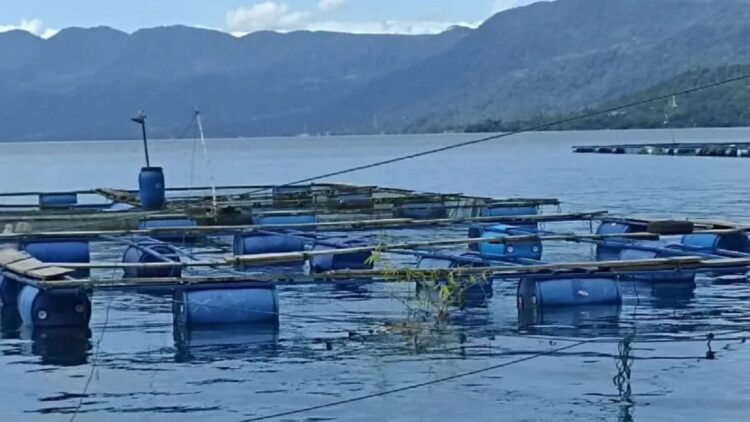 Rumpon di Danau Maninjau. (Antara)