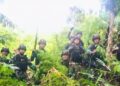 Ladang Ganja seluas 5 Hektare Ditemukan Satgas Pamtas RI-PNG di Papua