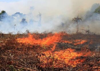 ilustrasi lahan terbakar