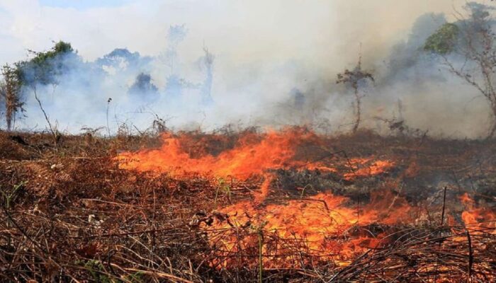 Karhutla Belum Reda, Pemprov Riau Perpanjang Status Tanggap Darurat 14 Hari
