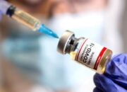 MUI Tetapkan Vaksin COVID-19 CanSino Buatan China Haram karena Mengandung Sel Embrio Bayi