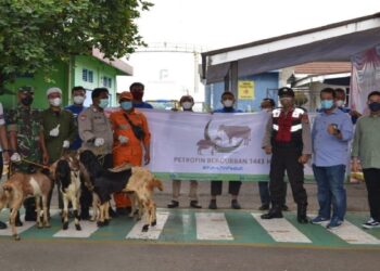 Berkah Idul Adha 1443 H, Elnusa Petrofin Salurkan 9.300 Paket Hewan Kurban