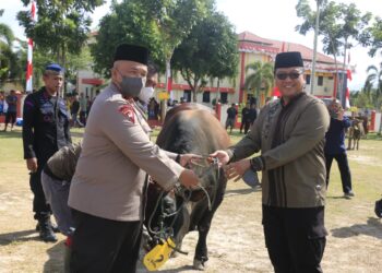 polda sumbar sumbang sapi