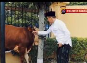 Polresta Padang Berkurban 7 Sapi dan 2 Kambing pada Idul Adha 1443 H