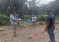 Wanita Penjual Gorengan Tewas di Areal Perkebunan Sawit di Pasbar, Leher Ada Bekas Lilitan