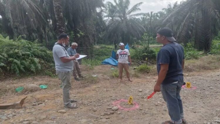 Wanita Penjual Gorengan Tewas di Areal Perkebunan Sawit di Pasbar, Leher Ada Bekas Lilitan 1 Jajaran Polres Pasaman Barat saat melakukan olah tempat kejadian peristiwa terhadap ditemukannnya seorang wanita tewas dengan tidak wajar. (Antara/Polres Pasbar).