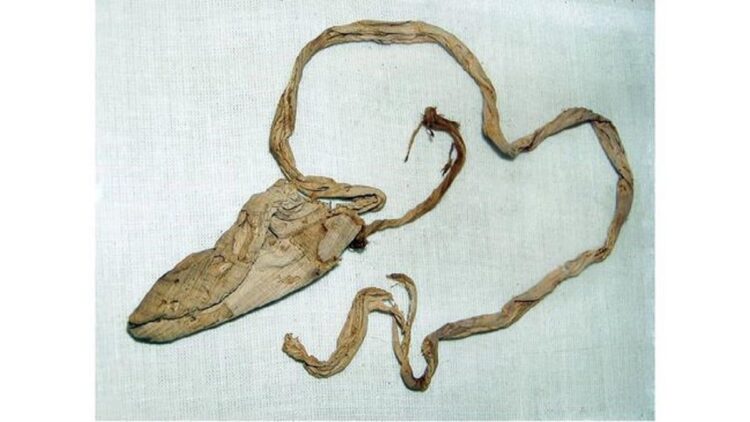 Alat Diduga Kondom Ditemukan di Makam Firaun, Pakar Sebut Bukan Alat Kontrasepsi 1 Alat sejenis kondom yang ditemukan dari makam raja Mesir kuno disebut bukan alat kontraspesi. (Foto: Tangkapan layar facebook Egypt Museum)