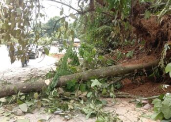 Macet di Panorama 2 Sitinjau Lauik, Ada Longsor Menutup Jalan