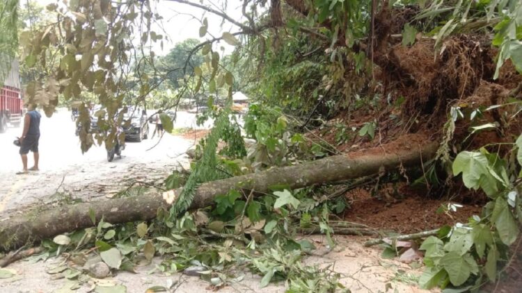 Longsor yang terjadi Panorama 2 Sitinjau Lauik.