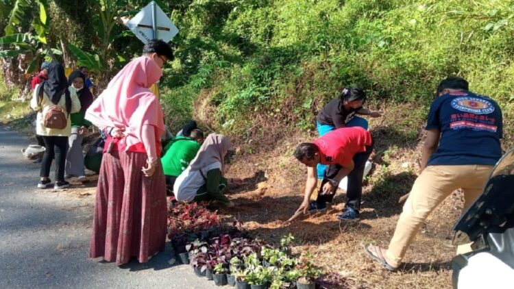 Penanaman bunga di jalur Batang Arau-Pantai Air Manis.