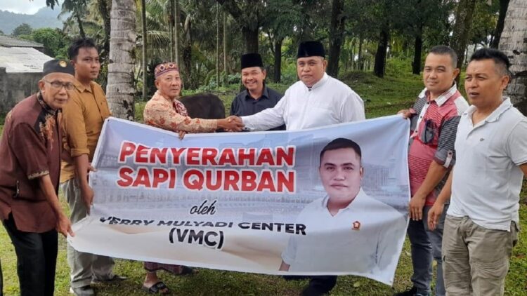 Verry Mulyadi Sumbang Dua Ekor Sapi dan Kambing untuk Warga di Indarung 1 Penyerahan sapi kurban Verry Mulyadi.