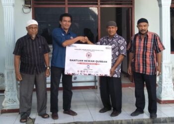 Semen Padang Salurkan 29 Ekor Sapi Kurban untuk Masyarakat