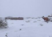 Turun Salju di Arab Saudi, Fenomena Alam yang Dikaitkan dengan Kiamat