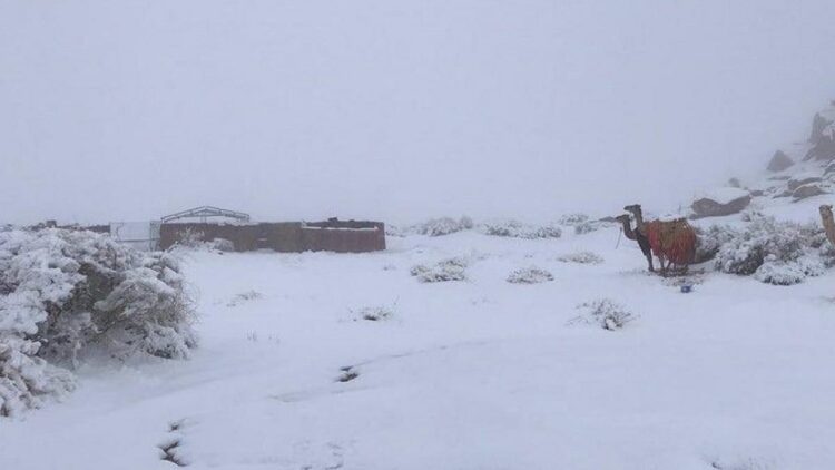 Turun Salju di Arab Saudi, Fenomena Alam yang Dikaitkan dengan Kiamat 1 Kondisi saat turun salju di Arab Saudi. (ist)