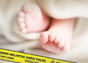 Angka Kematian Bayi di Sumbar Turun 50 Persen