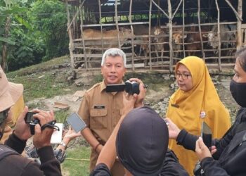 Dinas Pertanian Padang Fokuskan Vaksinasi PMK di TPA Air Dingin