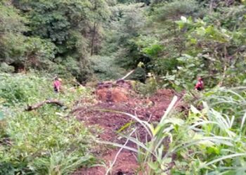 Diduga Rem Blong, Truk Meluncur Masuk Jurang di Sitinjau Lauik