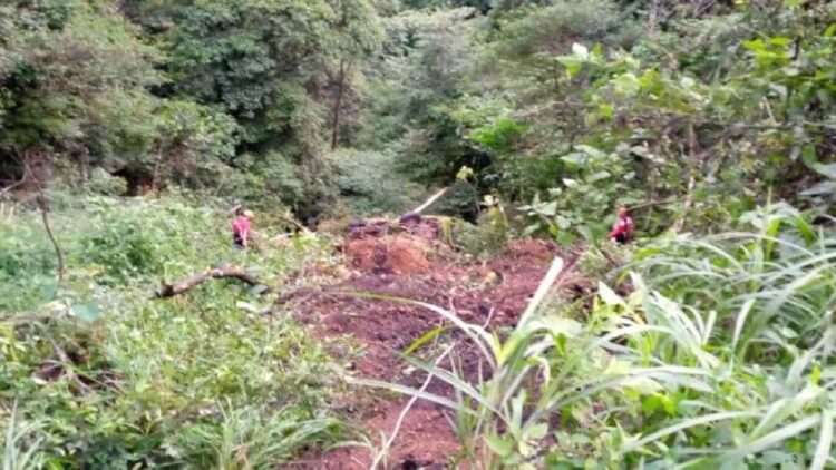 Evakuasi sopir truk yang masuk truk di Kota Padang (ANTARA/ HO Polsek Luki)