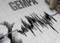 Ilustrasi gempa megathrust (net)
