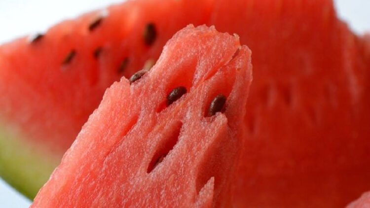 Manfaat menelan biji semangka (Pixabay/PDIPics)