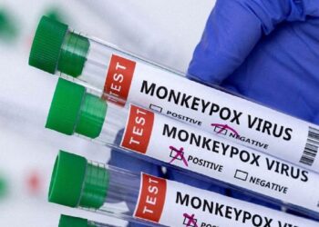 Kemenkes: Penularan Cacar Monyet hanya Lewat Kontak Fisik