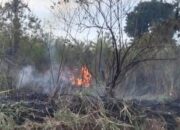 Satpol PP Damkar Agam Catat Kerugian Rp4 Miliar Lebih dalam 216 Hari Akibat Kebakaran