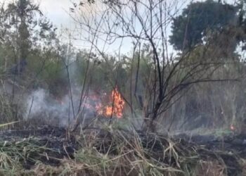 Kebakaran lahan di Agam. (Antara/Al Fatah)