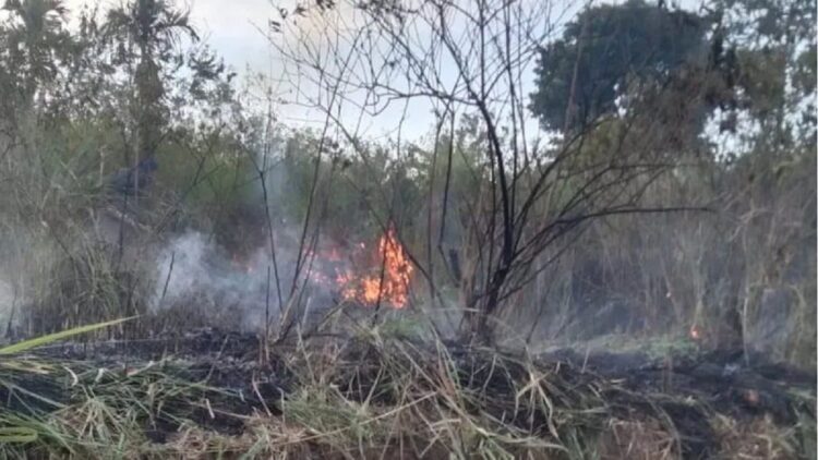 Kebakaran lahan di Agam. (Antara/Al Fatah)