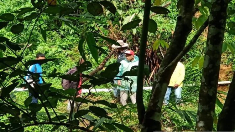 Pencarian warga yang sebelumnya dinyatakan hilang di Kamang area Bukit Barisan, korban atas nama Safrizal akhirnya ditemukan di daerah Palupuah yang berjarak hingga 15 kilometer dari lokasi asal hilang dan berada jauh di dalam hutan. (ANTARA/Alfatah)