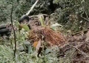 Tim Gabungan Fokuskan Pencarian Sopir Truk Masuk Jurang di Sitinjau Lauik