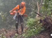 Butuh Crane Evakuasi Truk Masuk Jurang di Sitinjau Lauik, Sopir Diduga Terimpit