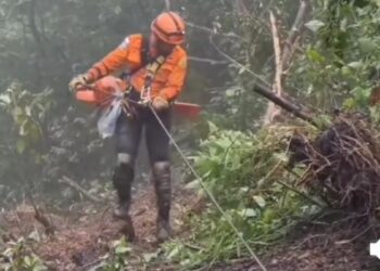 Butuh Crane Evakuasi Truk Masuk Jurang di Sitinjau Lauik, Sopir Diduga Terimpit