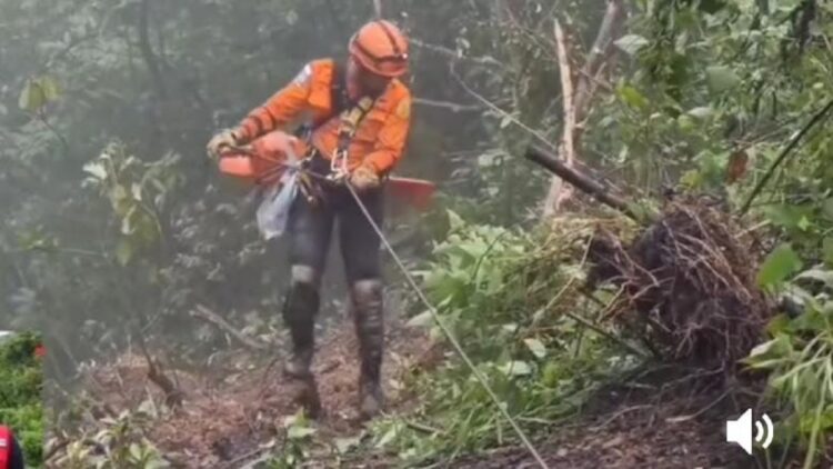 Butuh Crane Evakuasi Truk Masuk Jurang di Sitinjau Lauik, Sopir Diduga Terimpit 1 Proses pencarian sopir truk masuk jurang dilakukan secara manual. (IST)