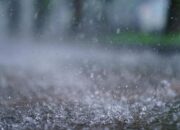 BNPB: 1.824 Warga Terdampak Banjir di Padang Pariaman, Tujuh Kecamatan Terisolasi